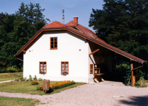 lenarcicevmlinvneradnovcih